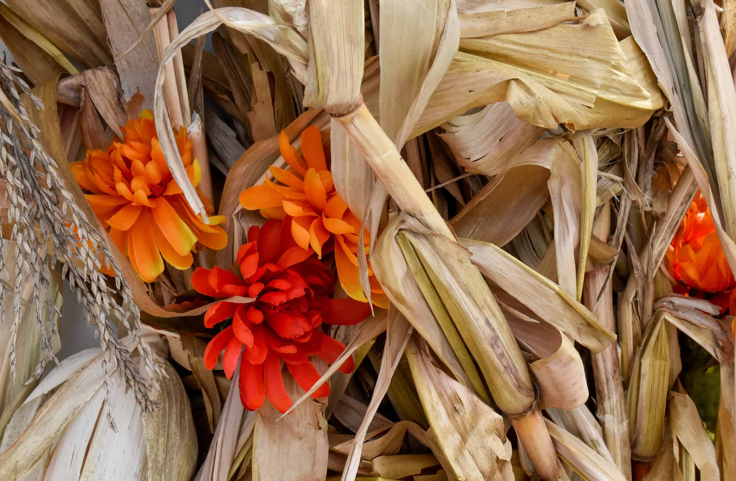 Abundant Life and Love – No Matter the Season