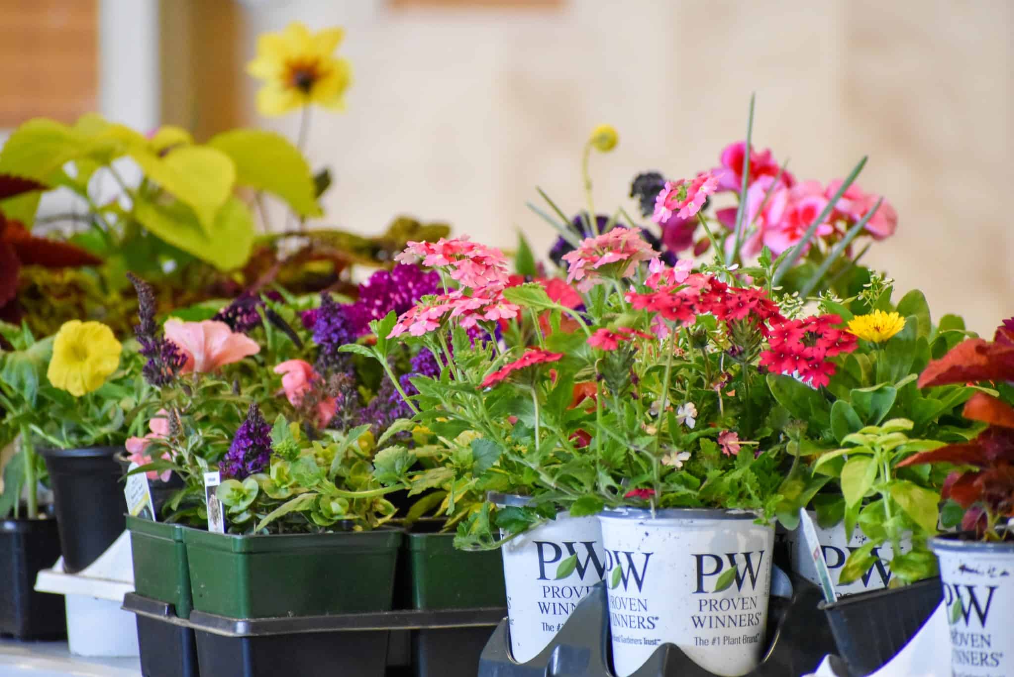 The Farmers’ Market: Bringing Community Together
