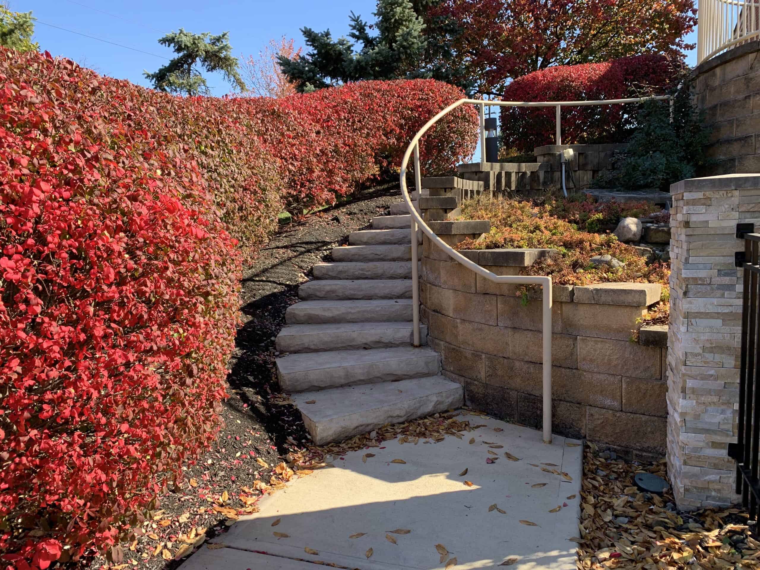 Why It’s a Good Idea to Tour a Continuing Care Retirement Community During the Holidays
