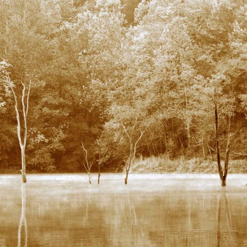 Woods-&-Lake-at-Wilds-Sepia-Inverted-0015